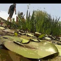 113 (53) :: CLOSE WAYS ALL