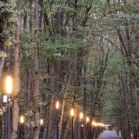 Небольшие сюжеты из прогулки...Дорога к ресторану :: tatyana 