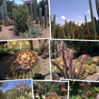 " :: Светлана Хращевская