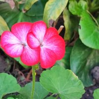 ,,, :: Сергей Тимоновский ,,, :: Сергей Тимоновский