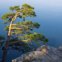 На берегу озера Тургояк. :: Алексей Трухин