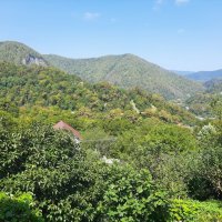 ГОРНЫЙ ПОСЕЛОК :: Tata Wolf