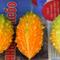 Момордика харанция :: Vlad Сергиевич