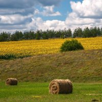 В один из летних дней :: Наталья Димова
