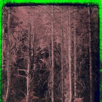 Назва. отсу. :: Денис Безногов