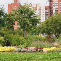 ОСЕННЕЕ :: Виктор Никитенко