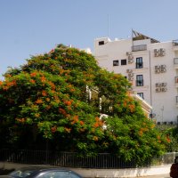 Кипр. Ларнака :: Андрей 