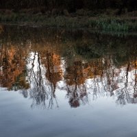 Вечер у Покрова на Нерли :: Вячеслав Владимирович