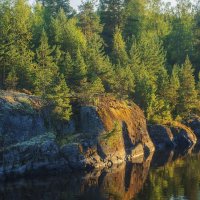 *** :: Сергей  Могутов 