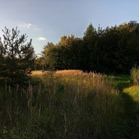 Приближается Бабье лето :: Андрей Лукьянов