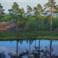 *** :: Сергей  Могутов 