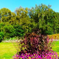 Робкое наступление осени.. :: Aida10 