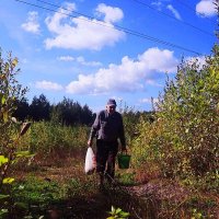 Сентябрь...С грибами на Оленьем острове! :: Владимир Сентябрь...С грибами на Оленьем острове! :: Владимир