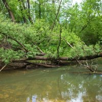 3932 :: Alex . 3932 :: Alex .