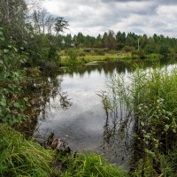 Заводь :: Петр 