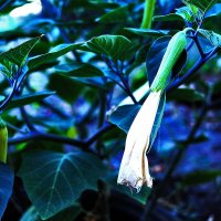 На солнышке :: Юрий Гайворонскiий