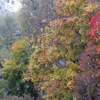 Осень. :: Владимир Драгунский