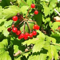 ,,, :: Сергей Тимоновский