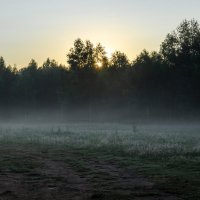 Утро :: Валерий Пославский Утро :: Валерий Пославский