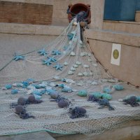 сеть :: Светлана Баталий сеть :: Светлана Баталий