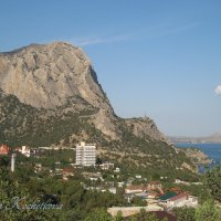 Природа Крыма :: Amazing Cosmea