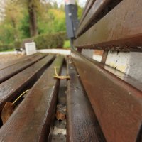 Сентябрь. Дождь. Осень. :: Александр Николаев