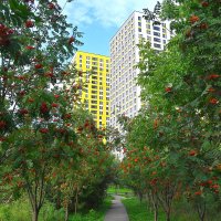 Эко-тропа из августа в сентябрь :: Александр Орлов