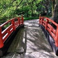 Мостик :: Mikhail Irtyshskiy