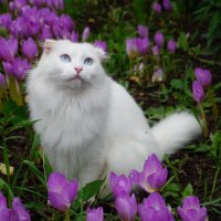 ... :: Сергей Ц