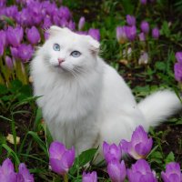 ... :: Сергей Ц