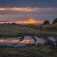 **** :: Елизавета .