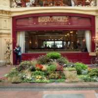 Цветочный фестиваль в ГУМе. :: Татьяна Помогалова