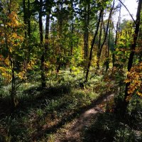 Никак Бабье лето?! :: Андрей Лукьянов