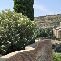 Грузия. Тбилиси.   Вид с балкона дворца царицы Дареджан. :: Ольга Довженко