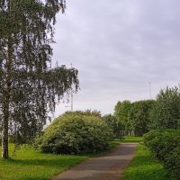 В Парке 300-летия Санкт-Петербурга. :: Светлана Калмыкова Калмыкова