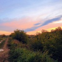 Дорога на рассвет! :: Елена Хайдукова  ( Elena Fly )