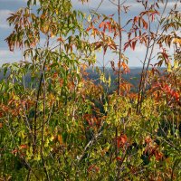 - :: Владимир Мигонькин