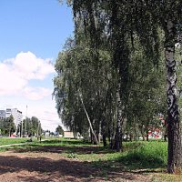 Лето. :: Владимир Драгунский