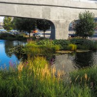 Уголок Москвы :: юрий поляков