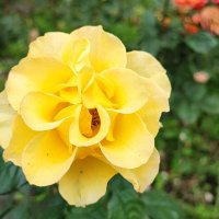 ,,, :: Сергей Тимоновский