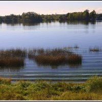 *** :: Aleksandr Gal