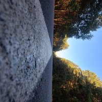 . :: Сергей Асташонок