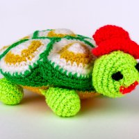 Черепаха :: Владимир VS