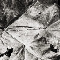 Назва. отсу. :: Денис Безногов