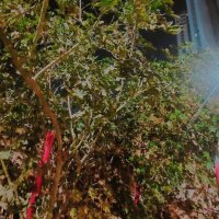 13  ОПЕН (304) :: OPEN WAYS ALL