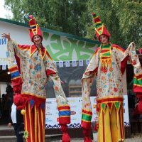 Длинноногие :: Сергей Никифоров