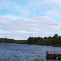 Пейзажи Карелии :: Любовь ***