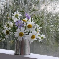 Опять дождь. :: Нина Сироткина 