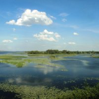 Разлив Волги :: Татьяна Иваненкова Разлив Волги :: Татьяна Иваненкова