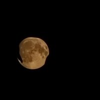 Луна :: Андрей 